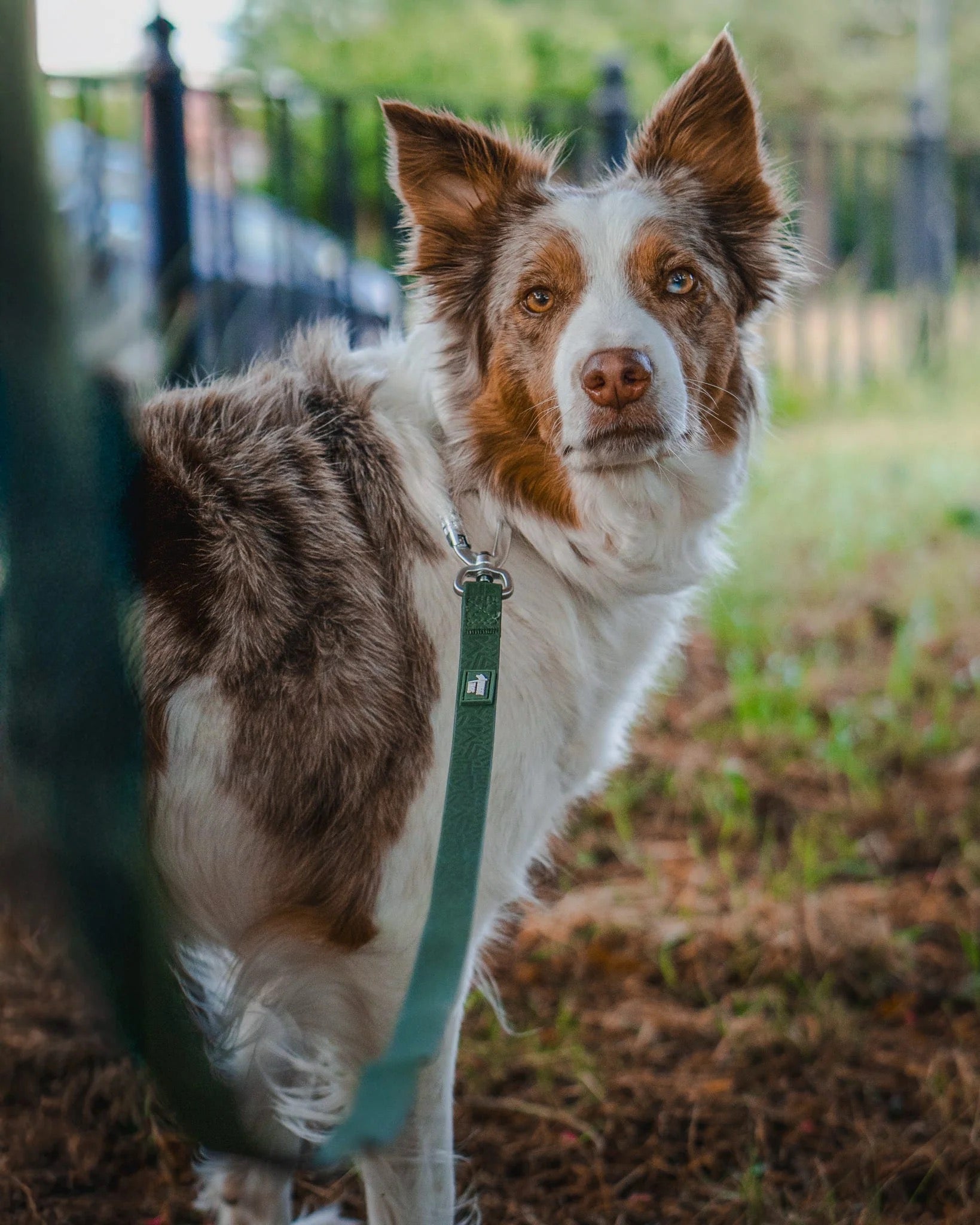 Twiggy Tags Tidal Waterproof Leads - Fern