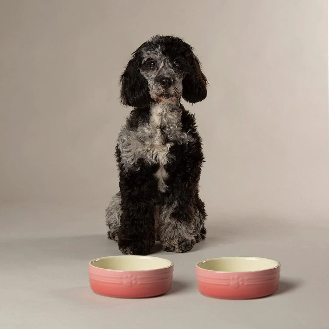 Scruffs Range of Dog Bowls and Canisters
