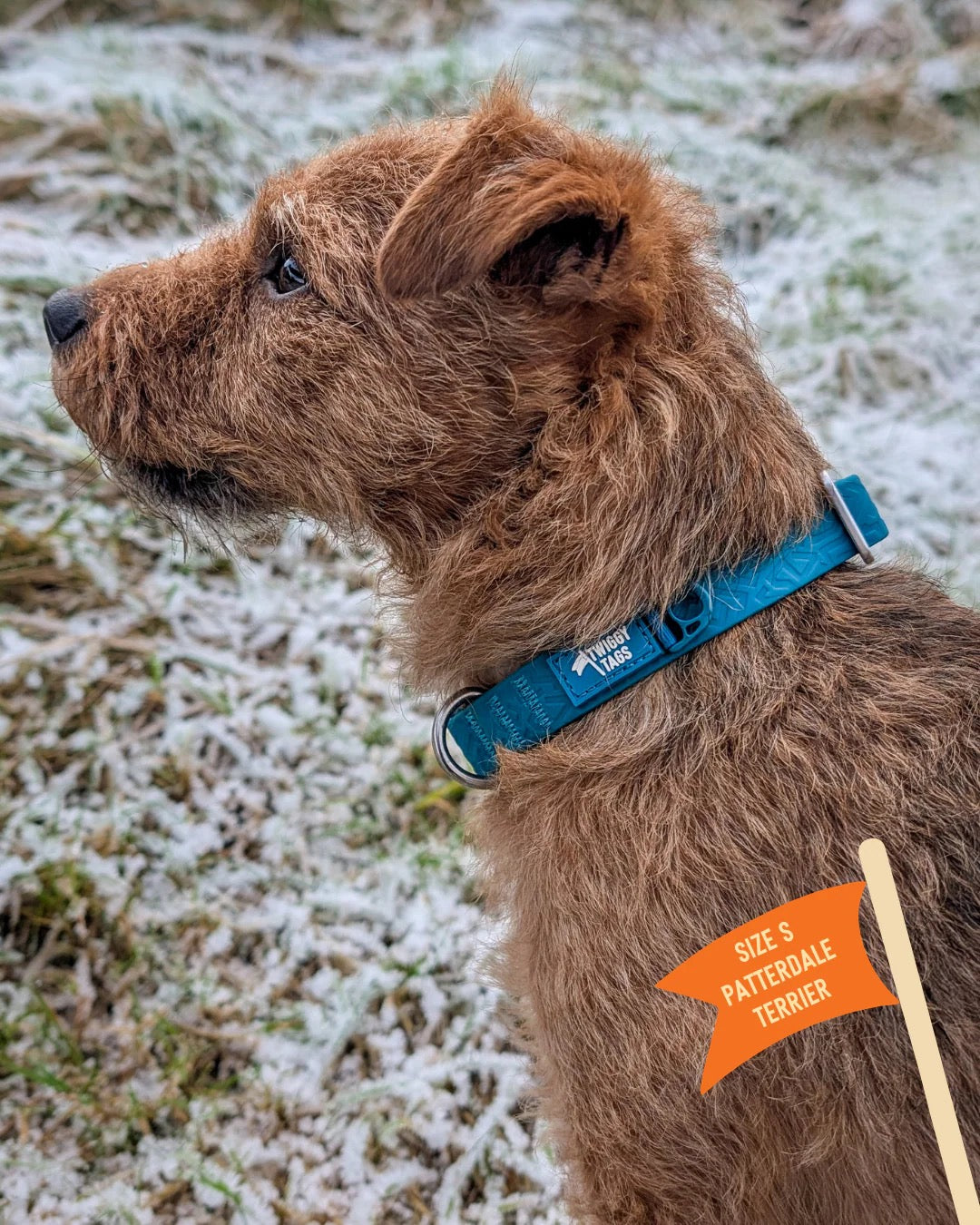 Twiggy Tags Tidal Waterproof Collar - Azure