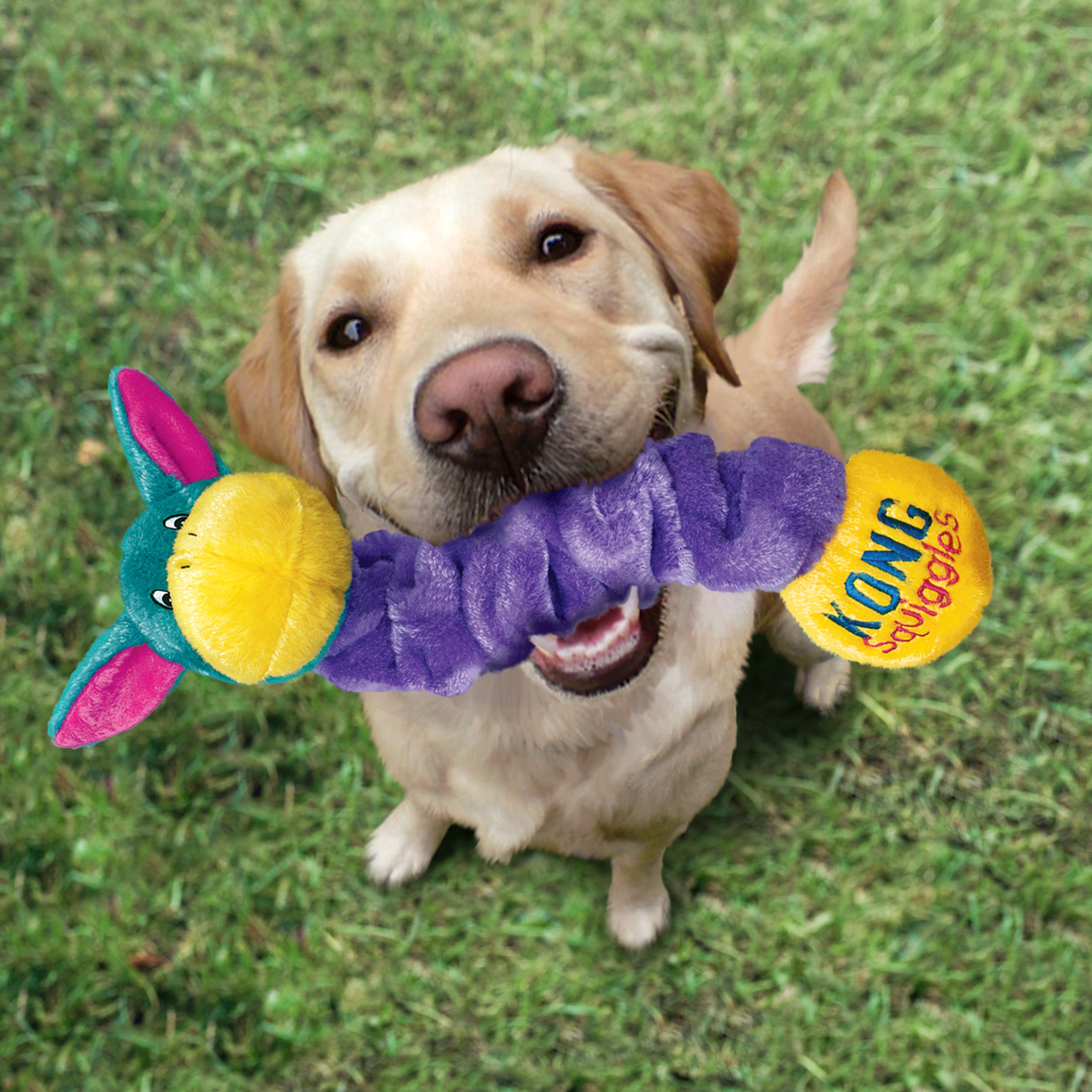 KONG Squiggles Assorted Small