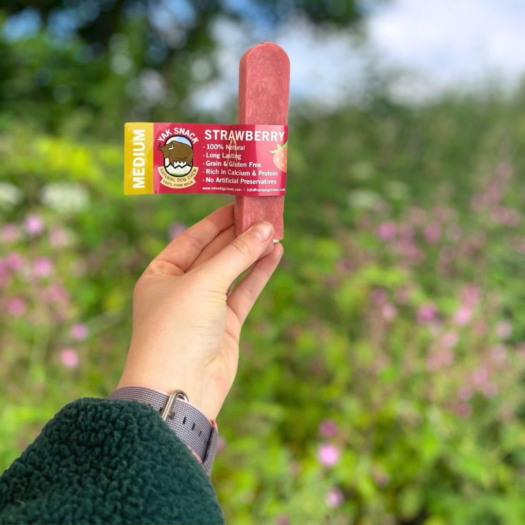 Himalayan Yak Milk Dog Chew Range