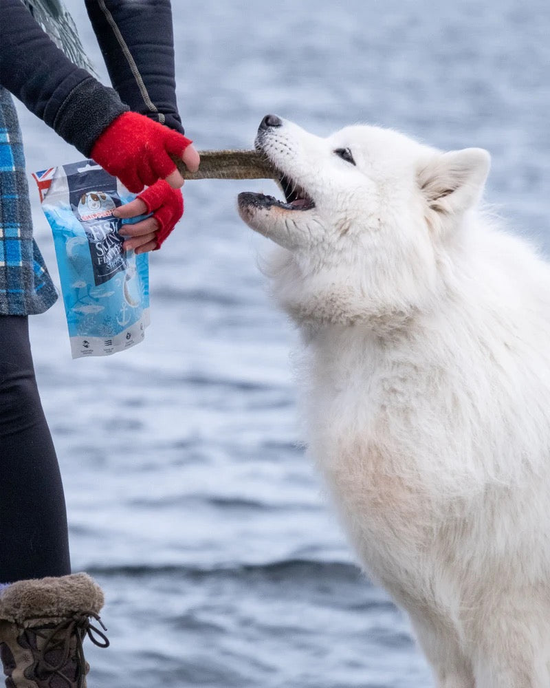 Skippers Premium Fish Skin Dog Treats - Omega 3 Natural Dental Care