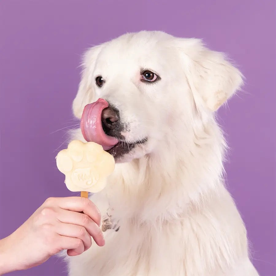 Smofl Freeze at Home Dog Ice Creams