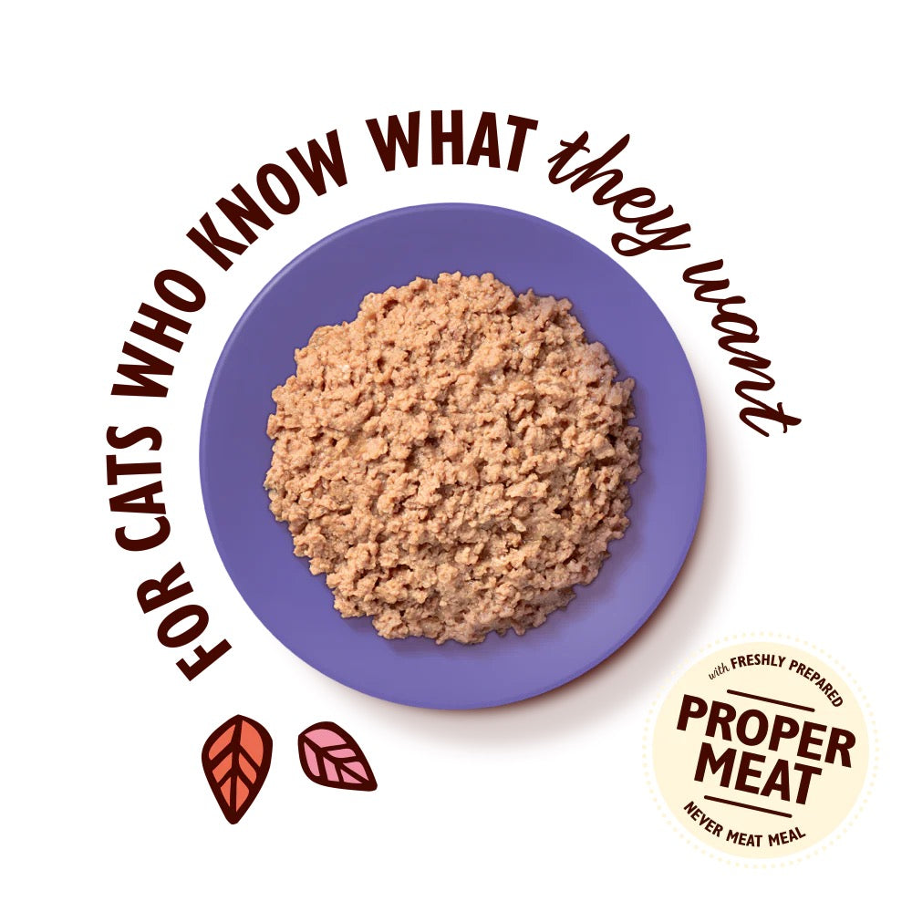 Lilys Kitchen Cat Food Pates
