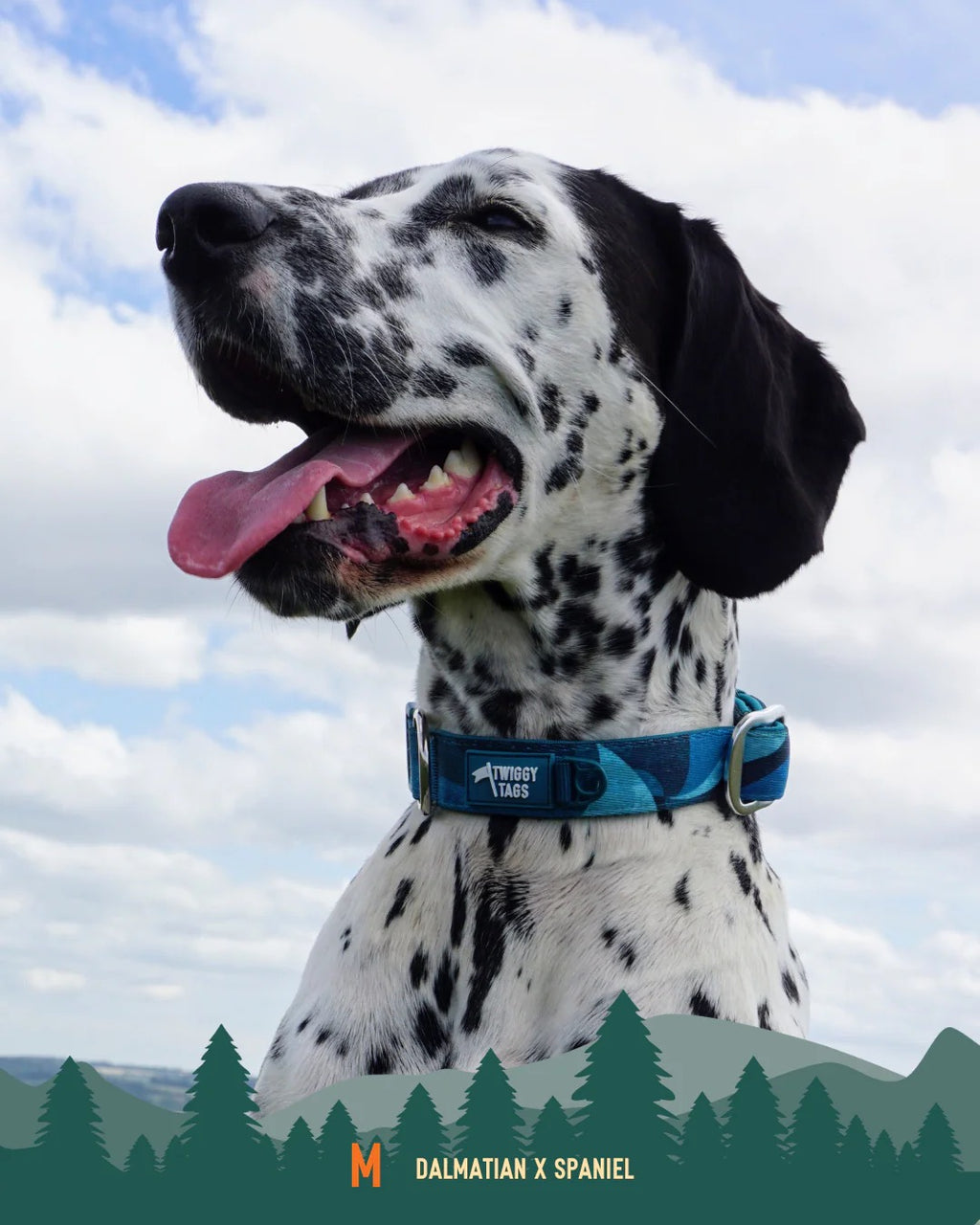 Twiggy Tags Adventure 2.0 Collar - Lagoon