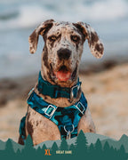 Twiggy Tags Adventure 2.0 Collar - Lagoon