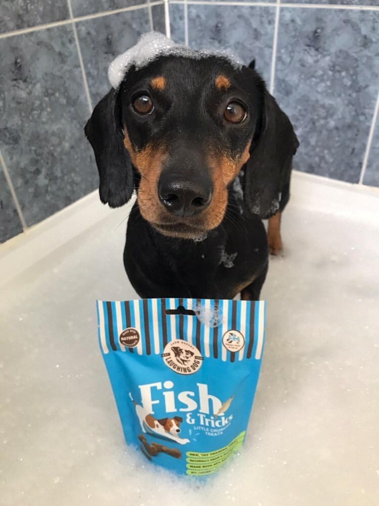 'Laughing Dog' Dog Treats 125g