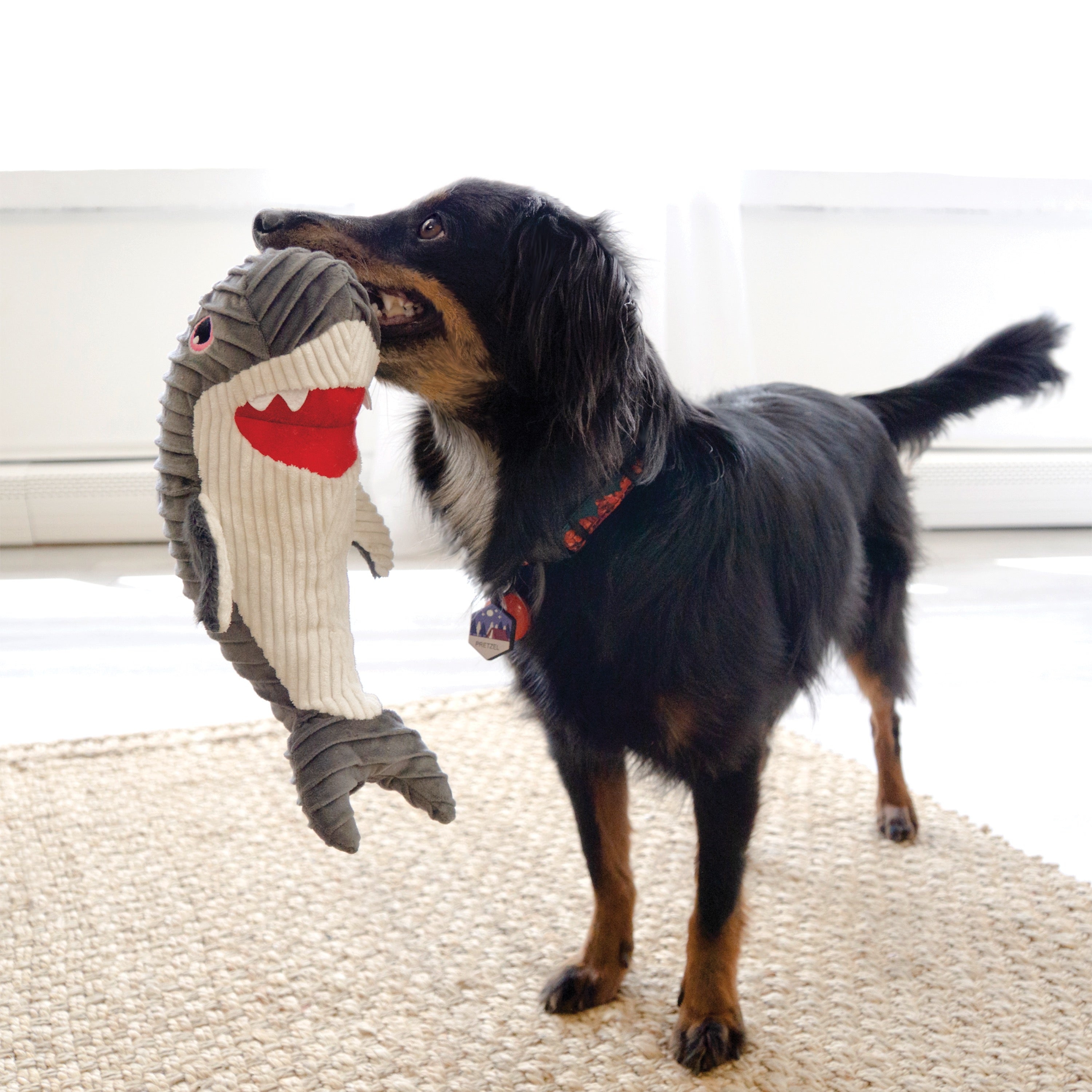 KONG Cuteseas Squeaker and Crinkle Dog Toys