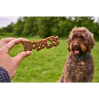 Petello Nobblys Dental Dog Chews - Natural Vegetarian Dental Treats for Dogs