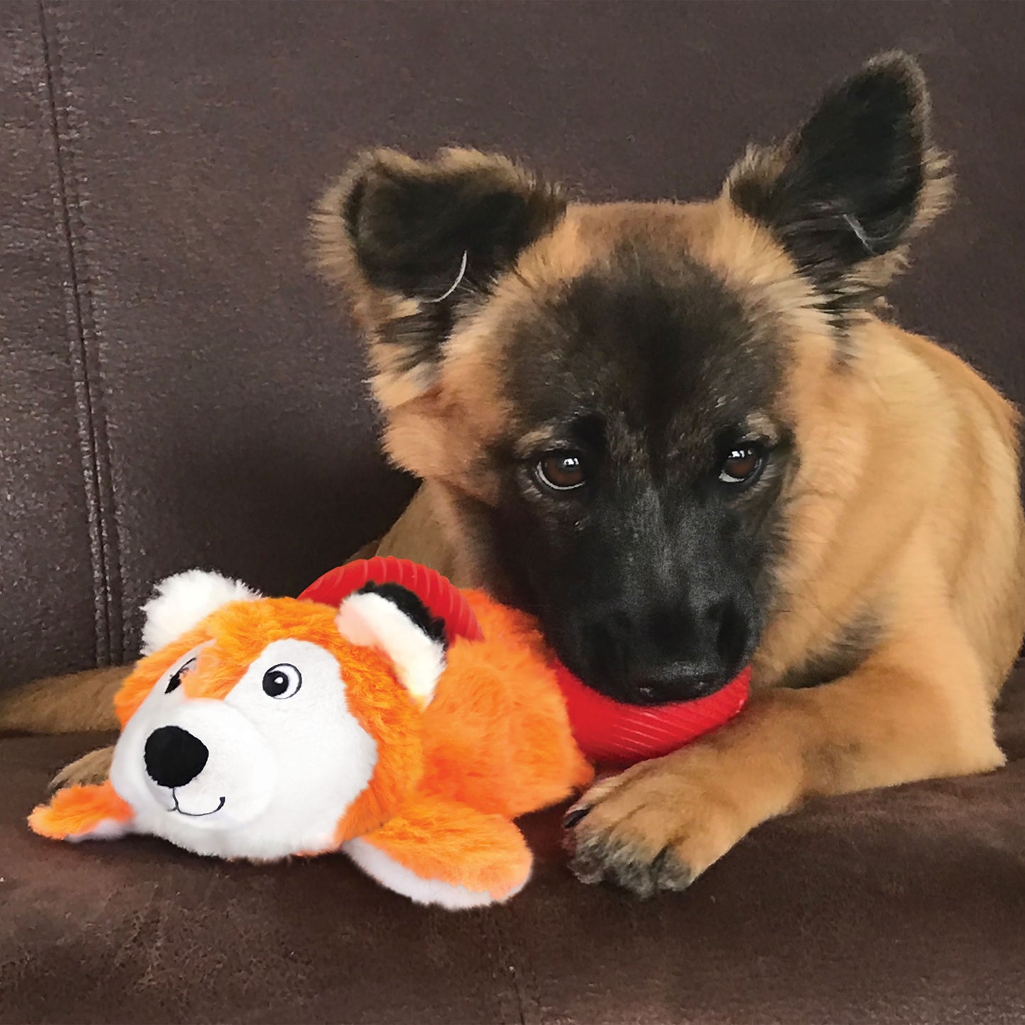 KONG Cozie Pocketz Plush Puzzle Dog Toy with Removable Squeaker