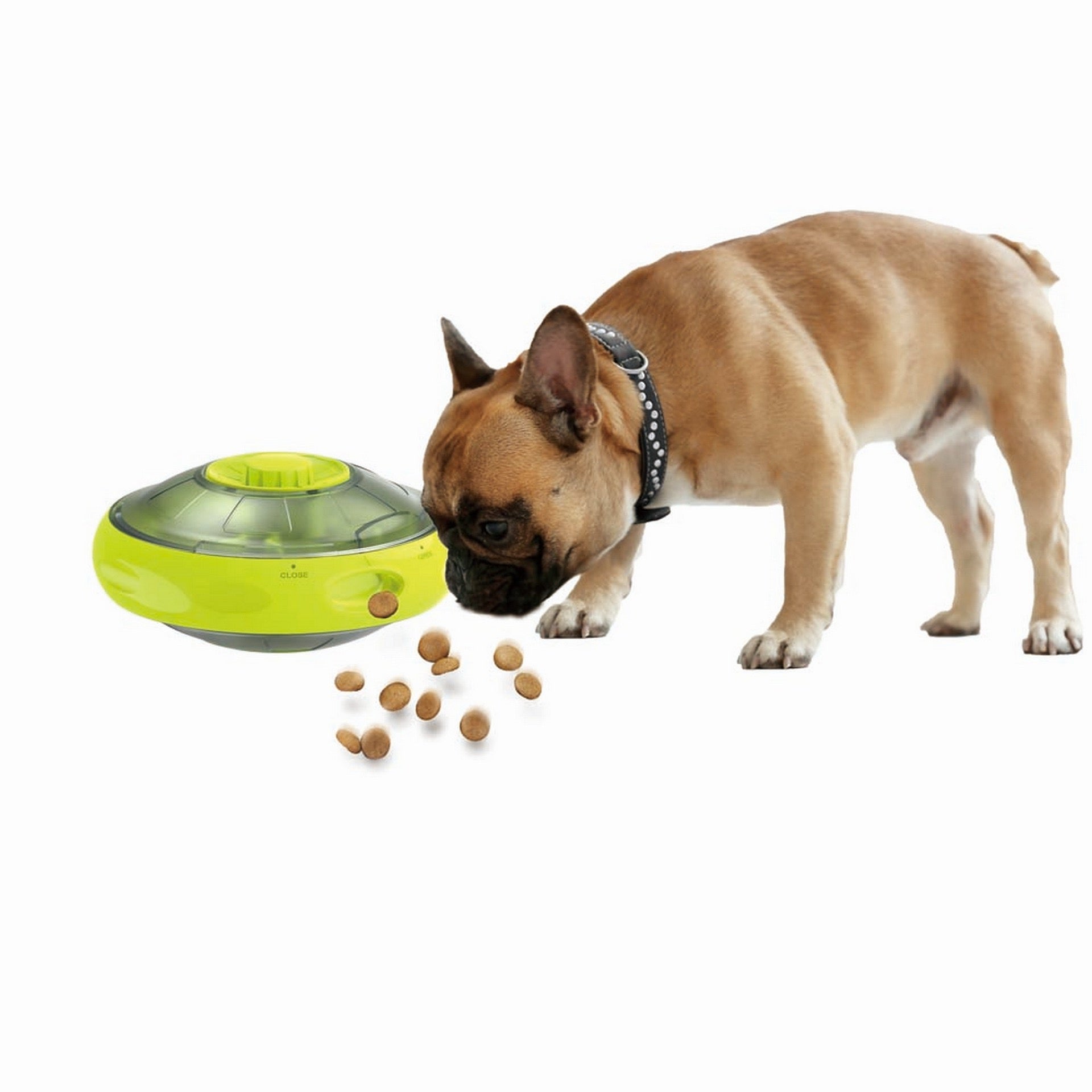 All For Paws Interactives Enrichment Toys for Dogs