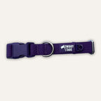 Twiggy Tags Tidal Waterproof Collar - Amethyst