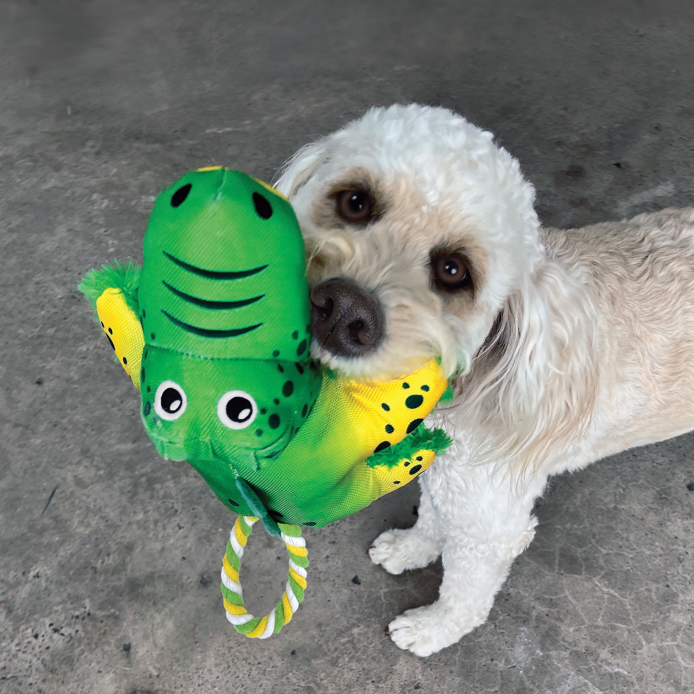 KONG Cozie Tuggz Internal Rope Dog Toys