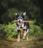 Build a Box - Custom Natural Dog Treat Bundle