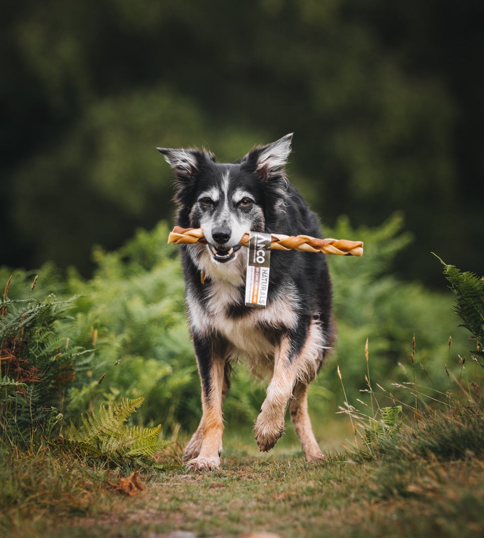 Build a Box - Natural Dog Treats - Build Your Own Bundle