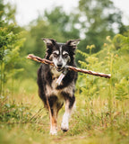 Build a Box - Custom Natural Dog Treat Bundle