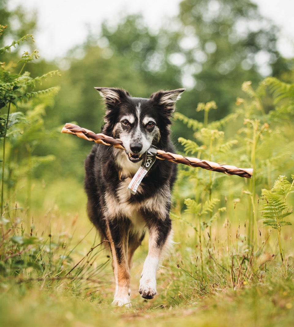 Build a Box - Natural Dog Treats - Build Your Own Bundle