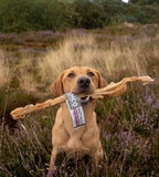 Build a Box - Custom Natural Dog Treat Bundle