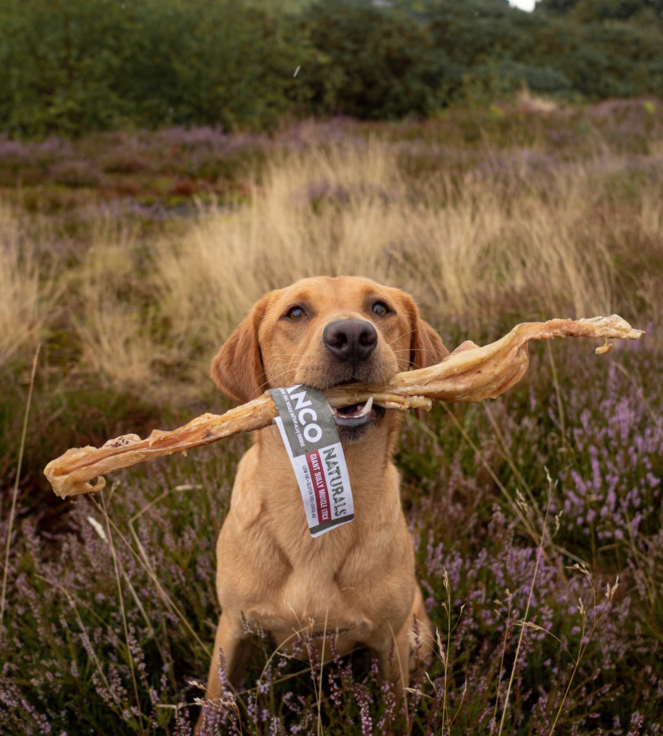 Build a Box - Natural Dog Treats - Build Your Own Bundle
