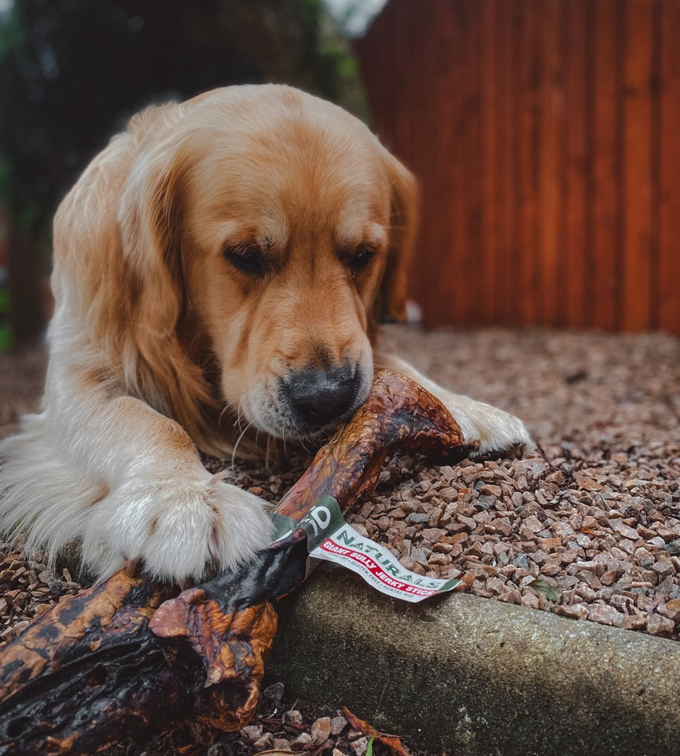 Build a Box - Natural Dog Treats - Build Your Own Bundle