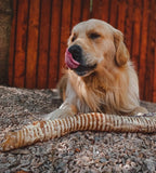 Build a Box - Custom Natural Dog Treat Bundle