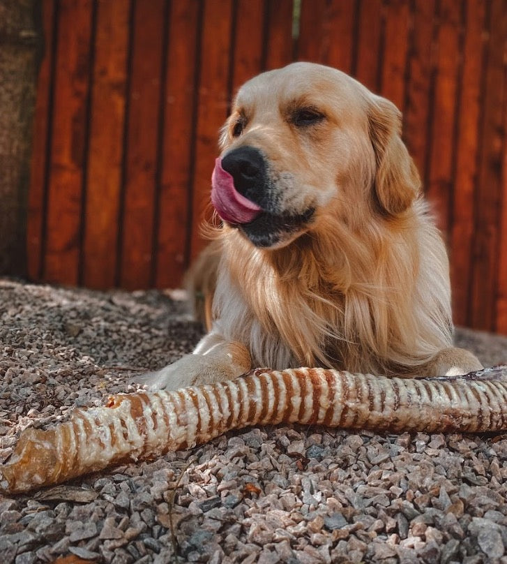Build a Box - Natural Dog Treats - Build Your Own Bundle