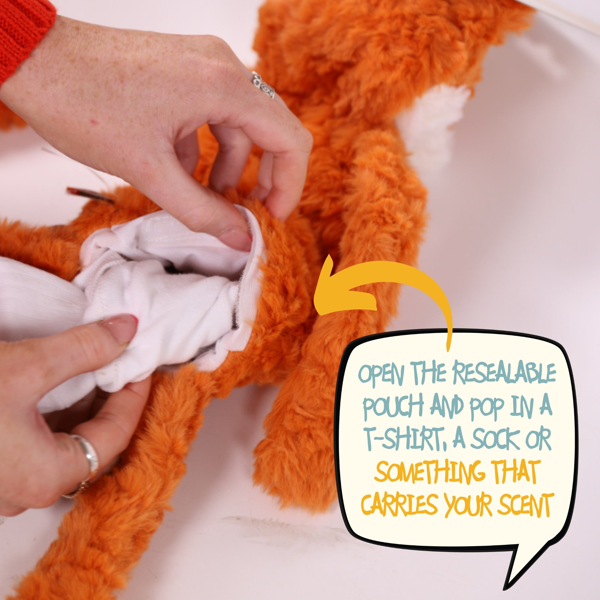 Rosewood - Crinkle and Squeak, No Stuffing - Dog Toy and Comforter