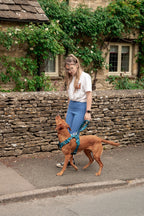 Twiggy Tags Adventure Close Control Lead 2.0 - Lagoon