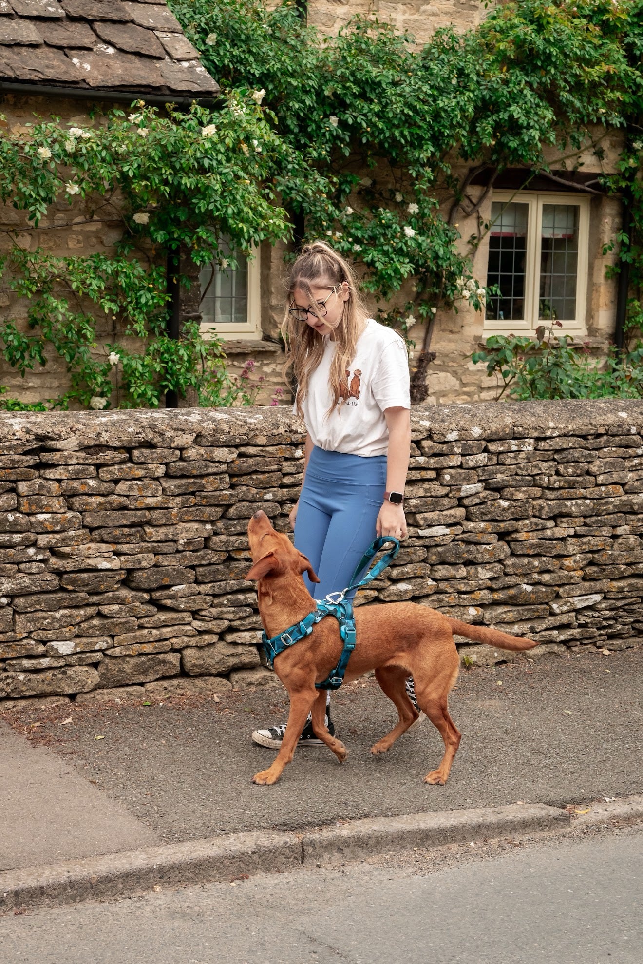 Twiggy Tags Adventure Close Control Lead 2.0 - Lagoon