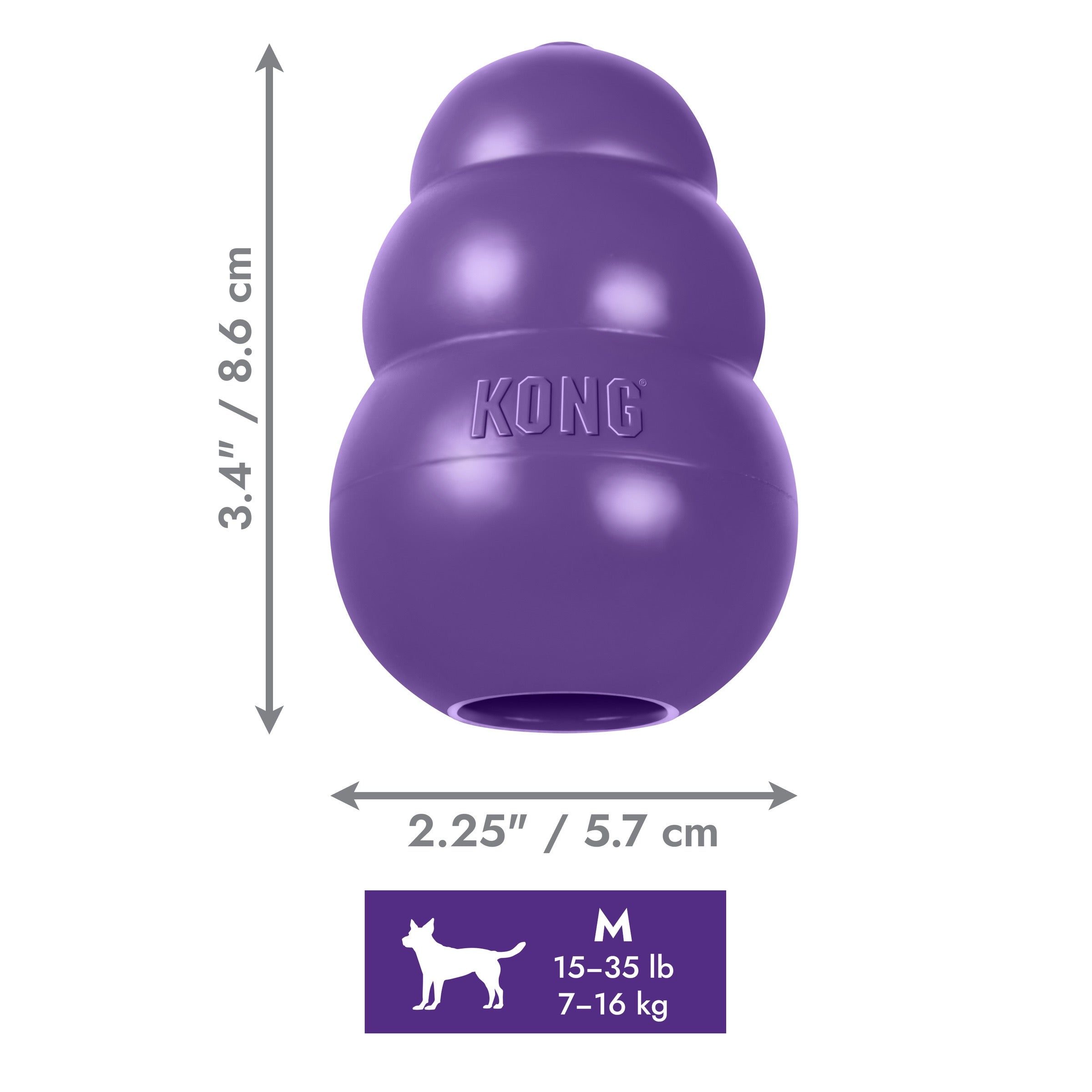 KONG Senior