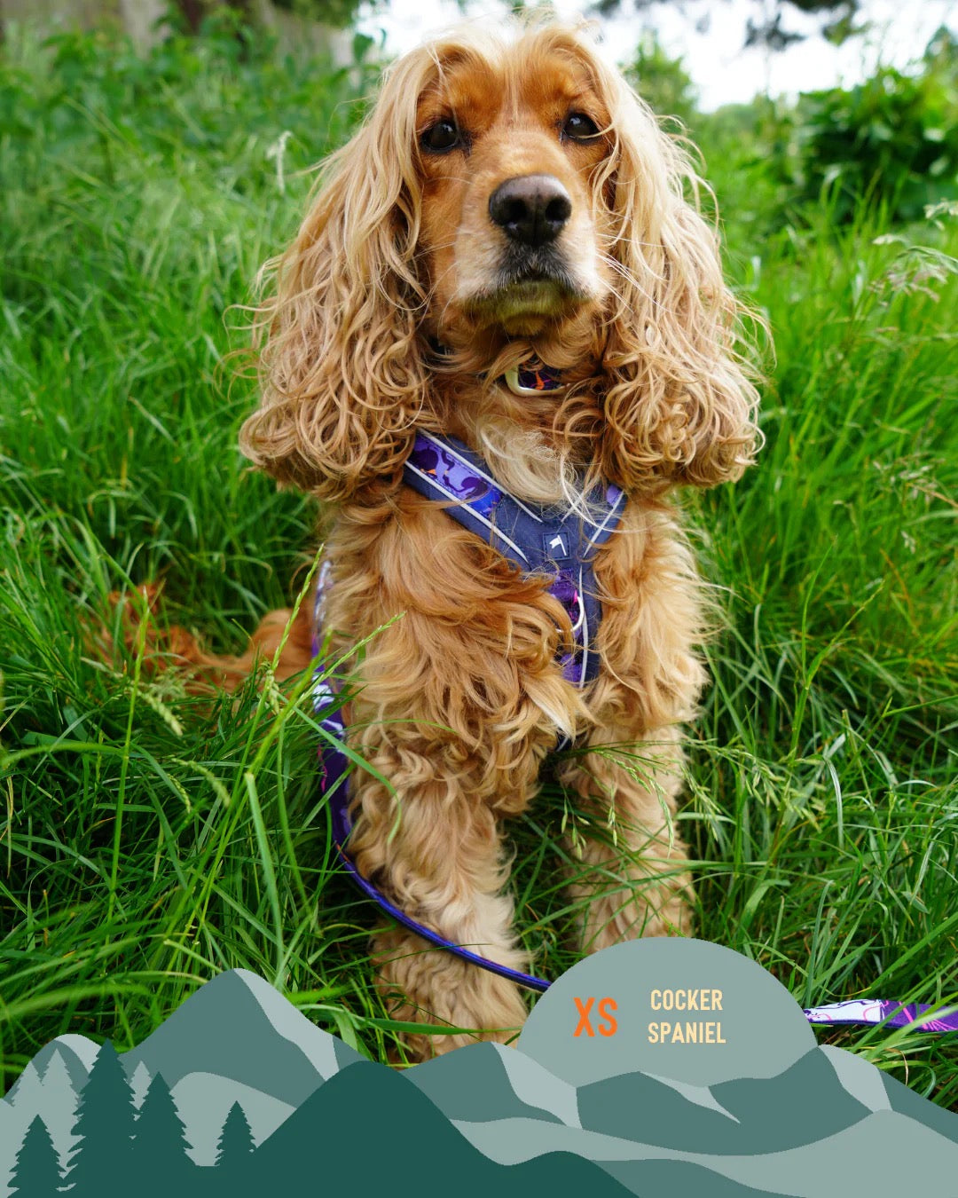 Twiggy Tags Apex® Harness - Nebula