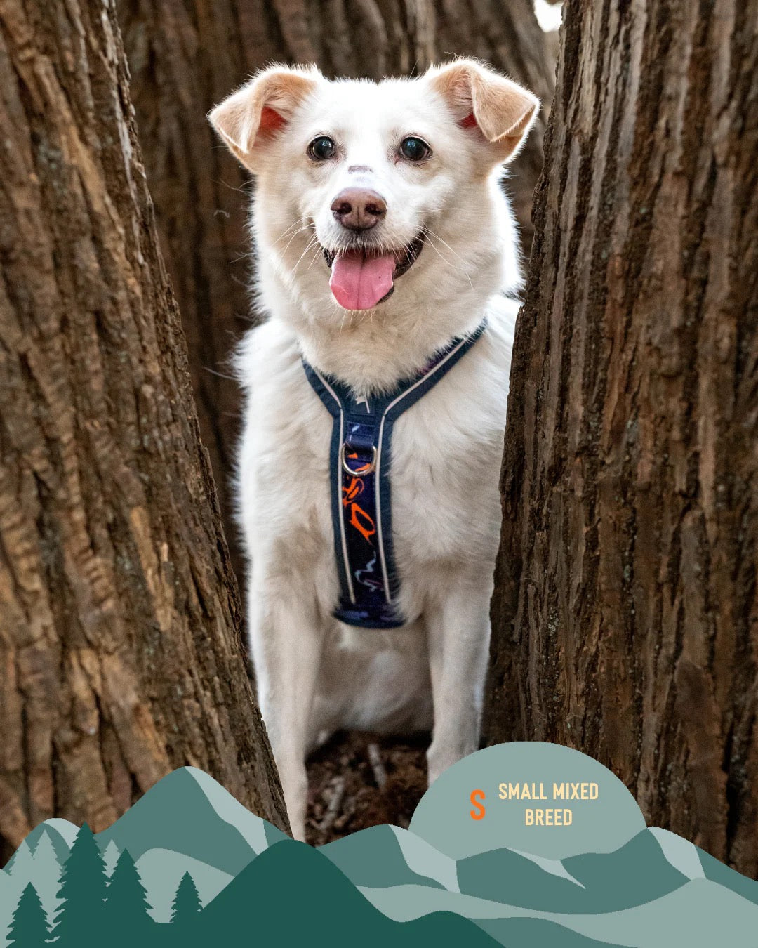 Twiggy Tags Apex® Harness - Nebula