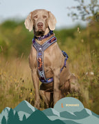 Twiggy Tags Apex® Harness - Nebula