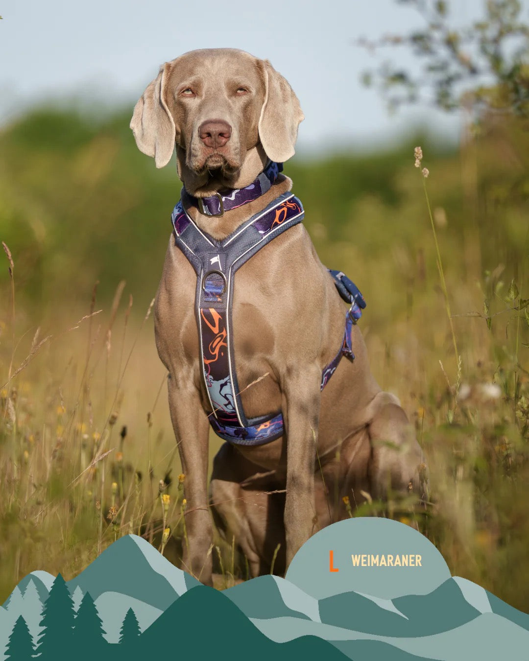 Twiggy Tags Apex® Harness - Nebula