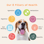 Furr Boost – Natural Hydration Drink for Dogs | Smoothie, Food Topper & Enrichment Treat