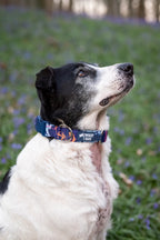 Twiggy Tags Apex® Collar - Nebula