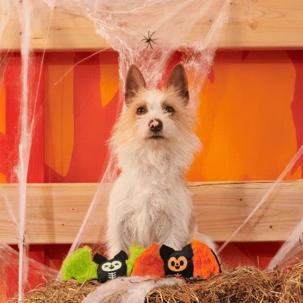 BARK Halloween Dog Toys