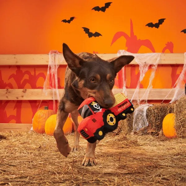BARK Halloween Dog Toys