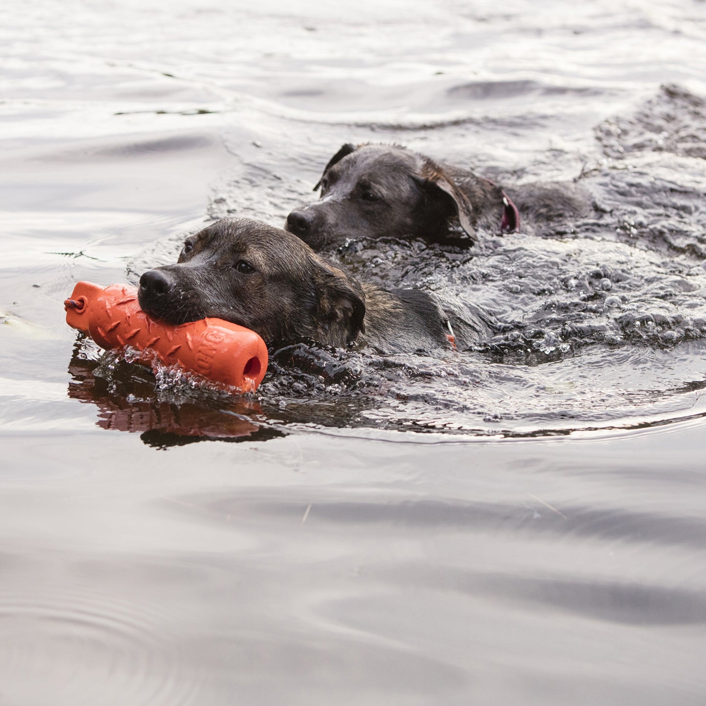 KONG Training Dummy Large - High Visibility - Floats