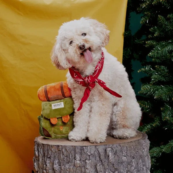 BARK Range of Dog Toys