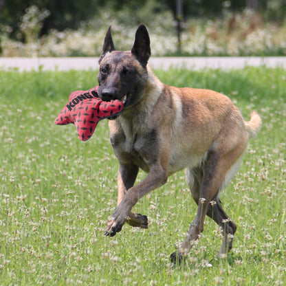 KONG Maxx Range of Extra Durable Dog Toys