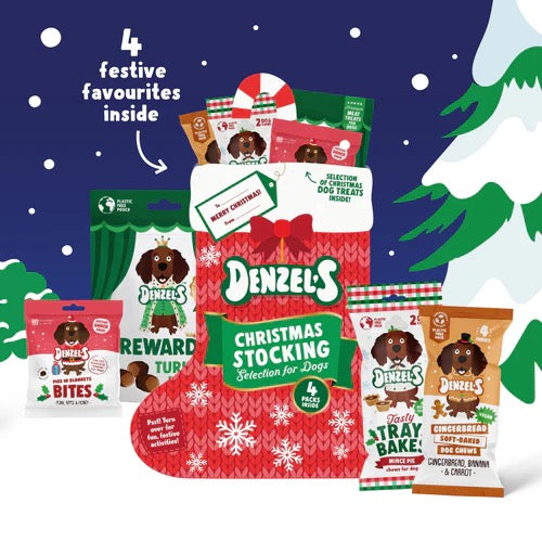 Denzels Christmas Range for Dogs