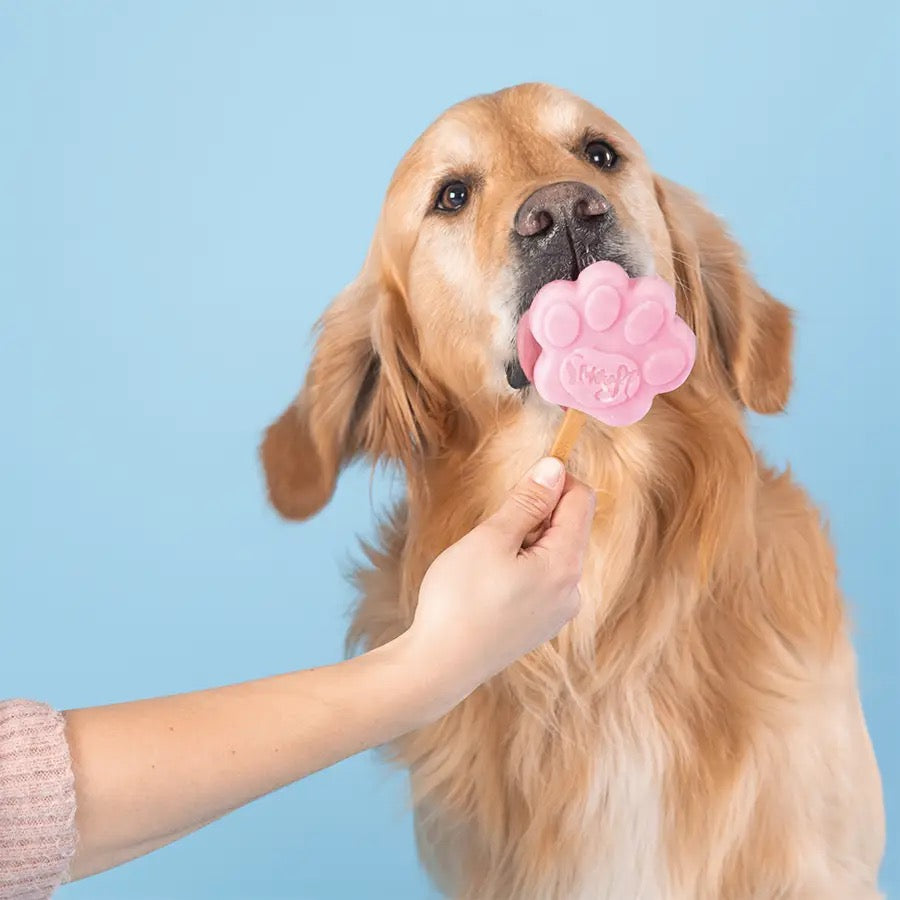 Smofl Freeze at Home Dog Ice Creams