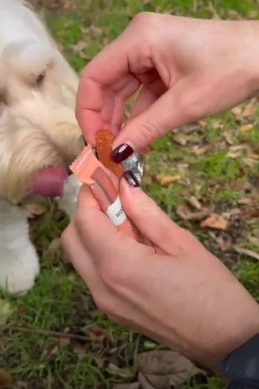 Sir Woofchester's 'Bar Snacks' For Dogs