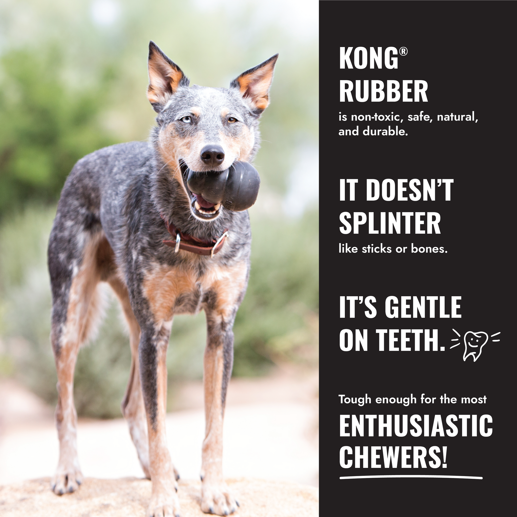 KONG Extreme