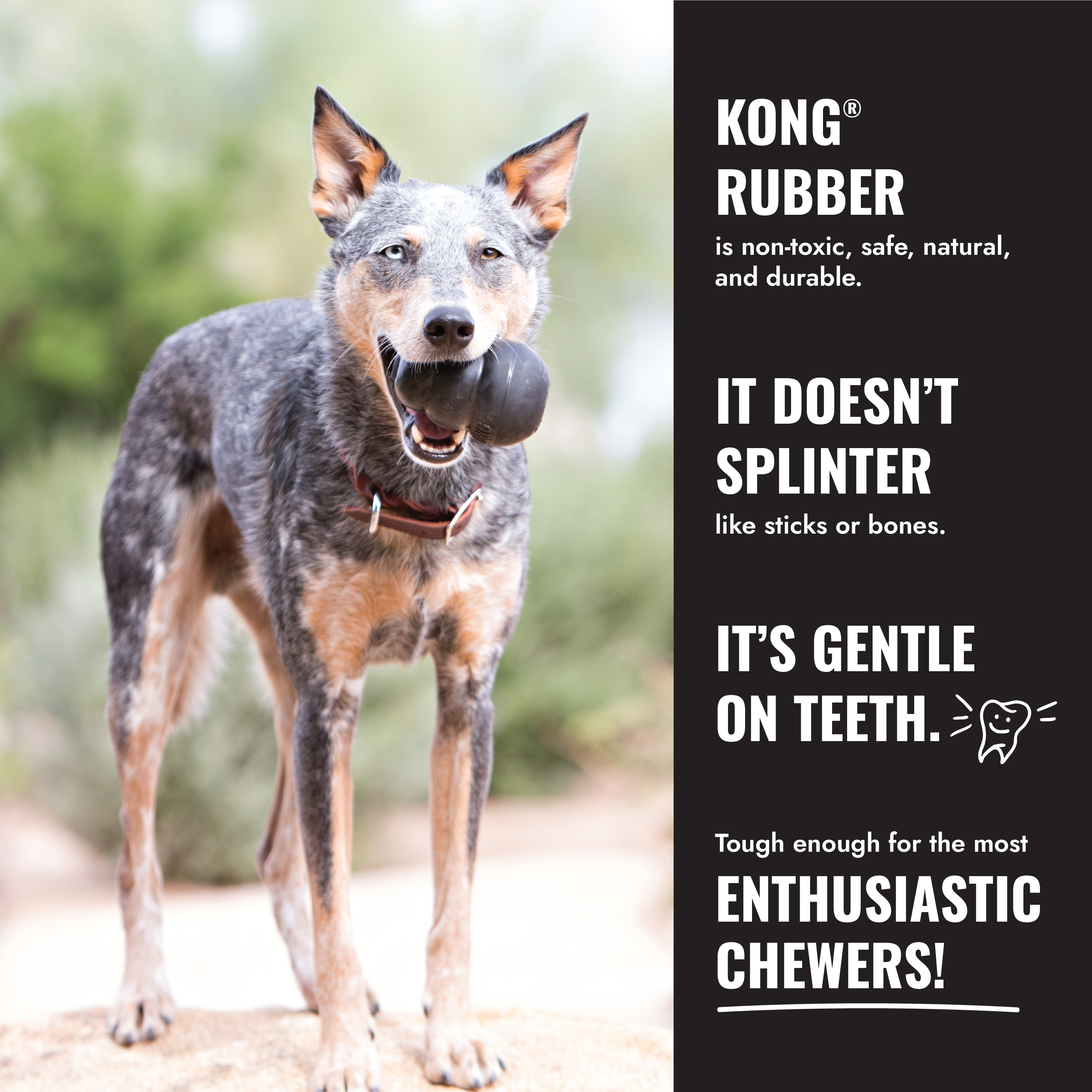 KONG Extreme