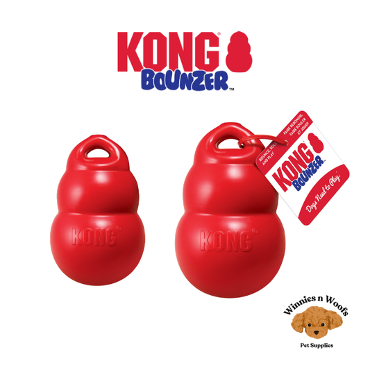 KONG Bounzer Durable Fetch Toy for Dogs