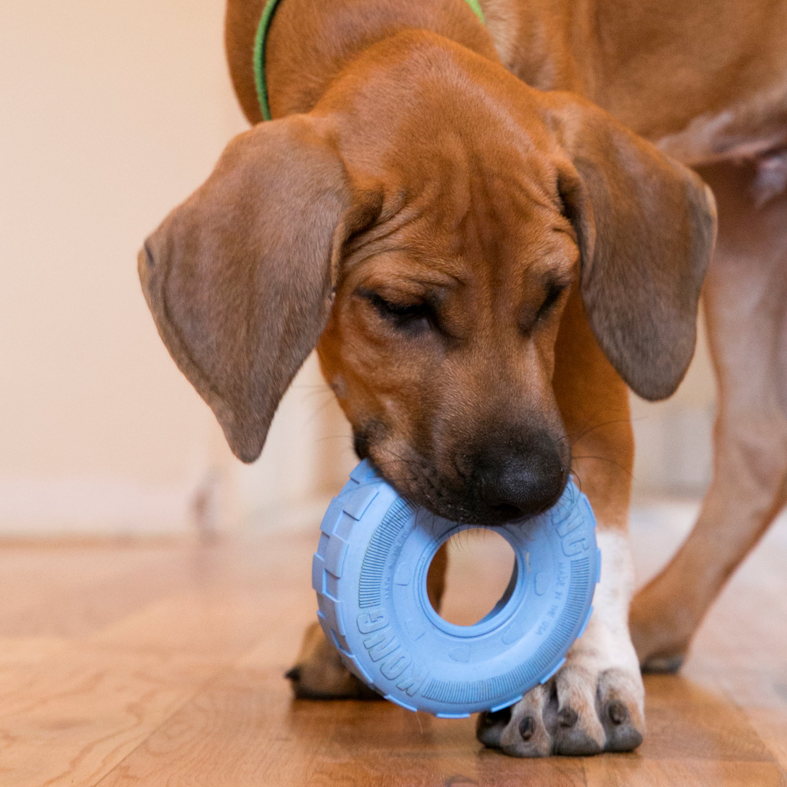 KONG Puppy Tyres