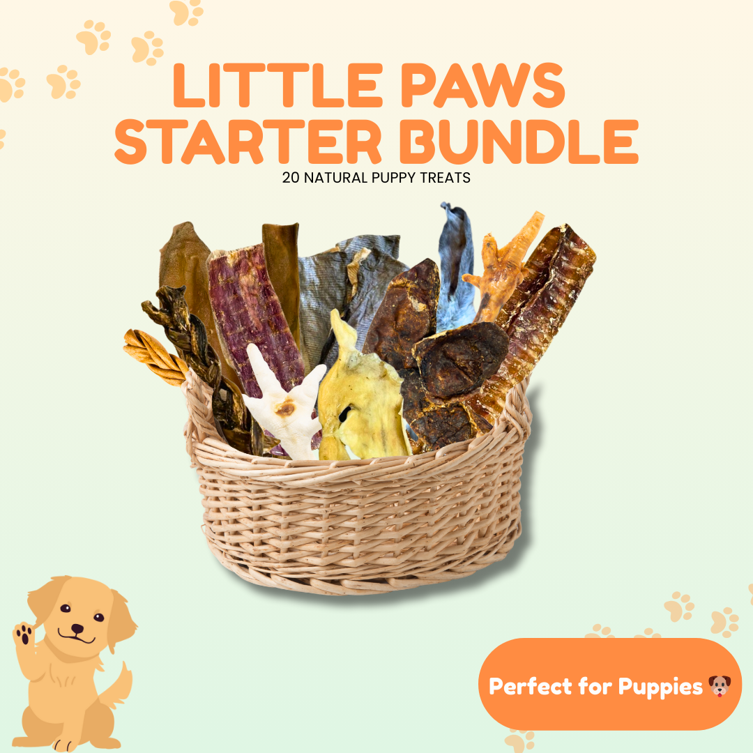 Little Paws Starter Bundle | Natural Treats for Puppies
