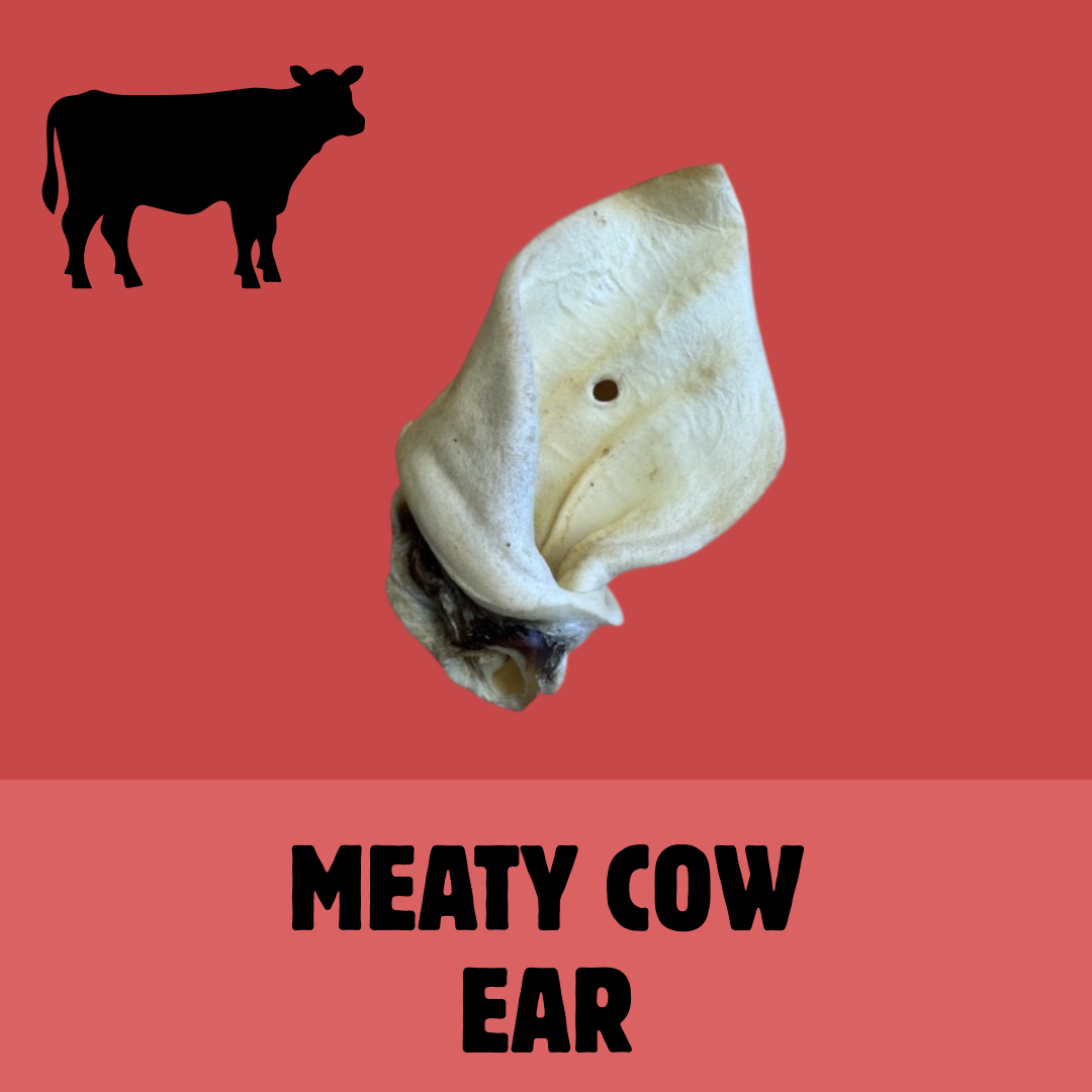 Build a Box | Custom Natural Dog Treat Bundle